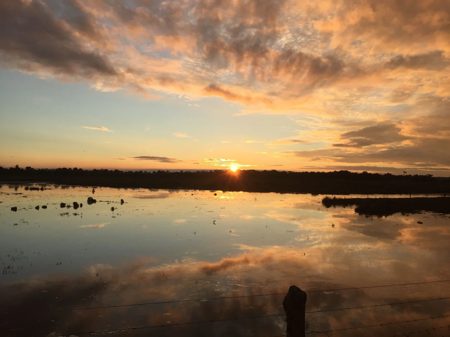 Additional image 25 of 111 CRAIGS LANE, Pearcedale VIC 3912