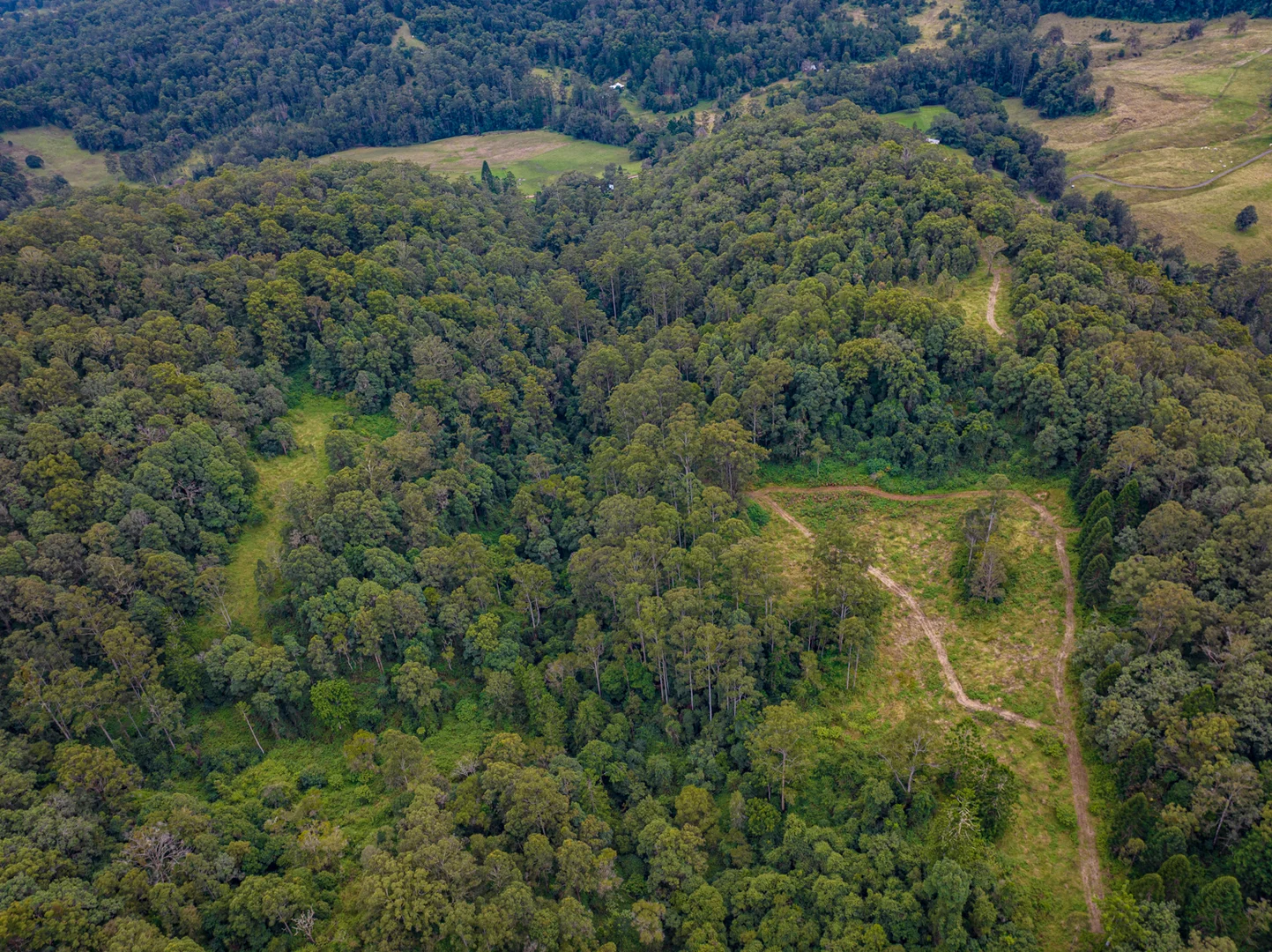 Additional image 31 of 574 Horseshoe Creek Road, Upper Horseshoe Creek NSW 2474