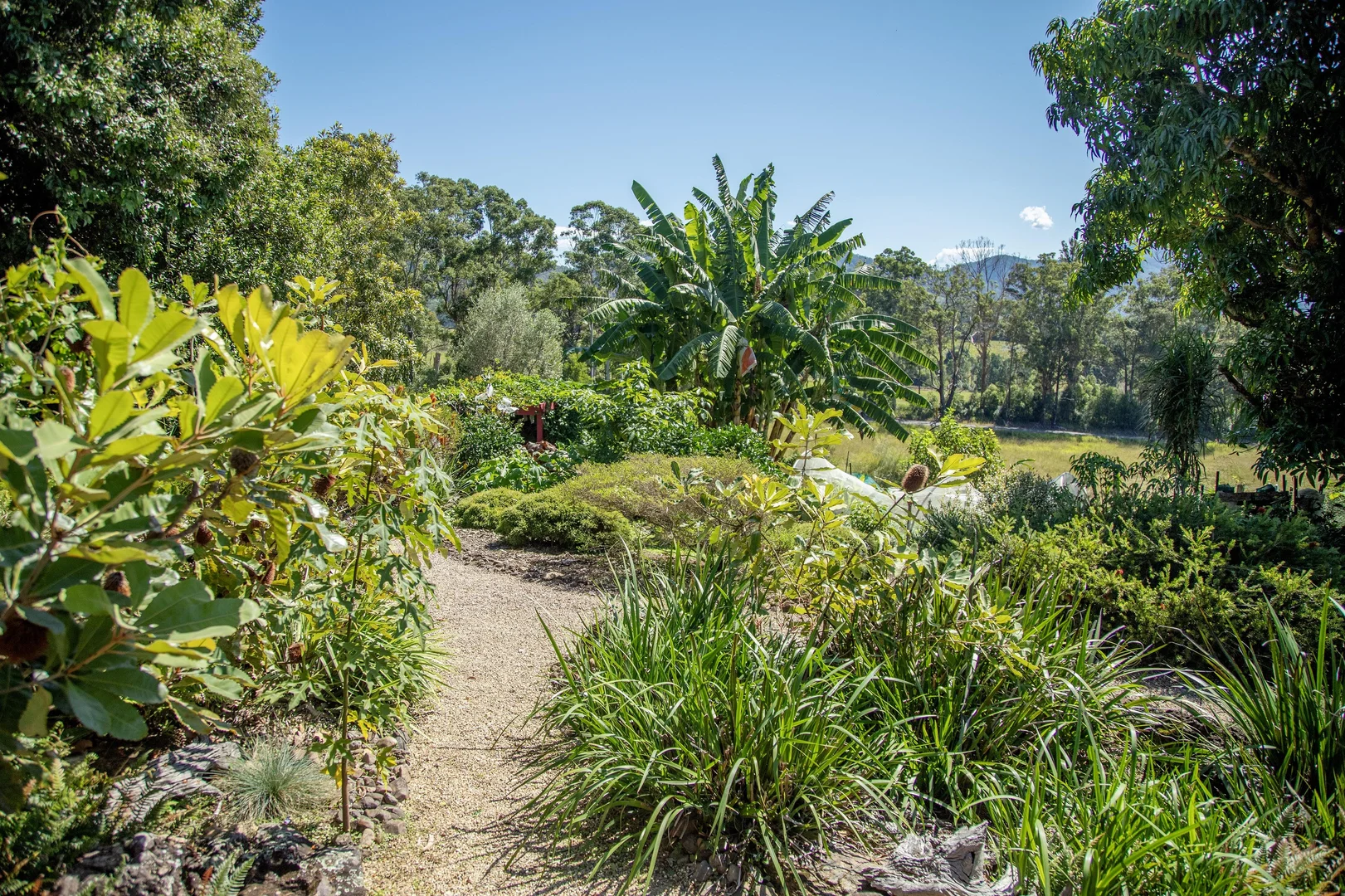 Additional image 24 of 1694 Comboyne Road, Killabakh NSW 2429