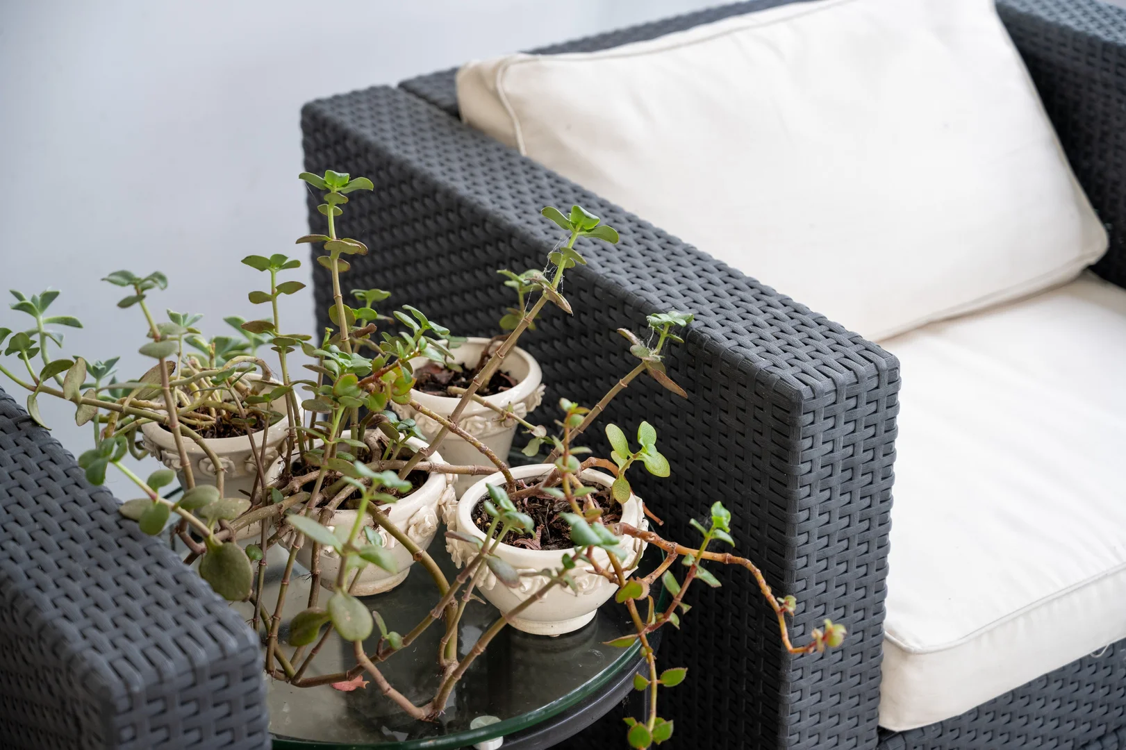 Additional image 7 of 308/77 Ridge Street, Gordon NSW 2072