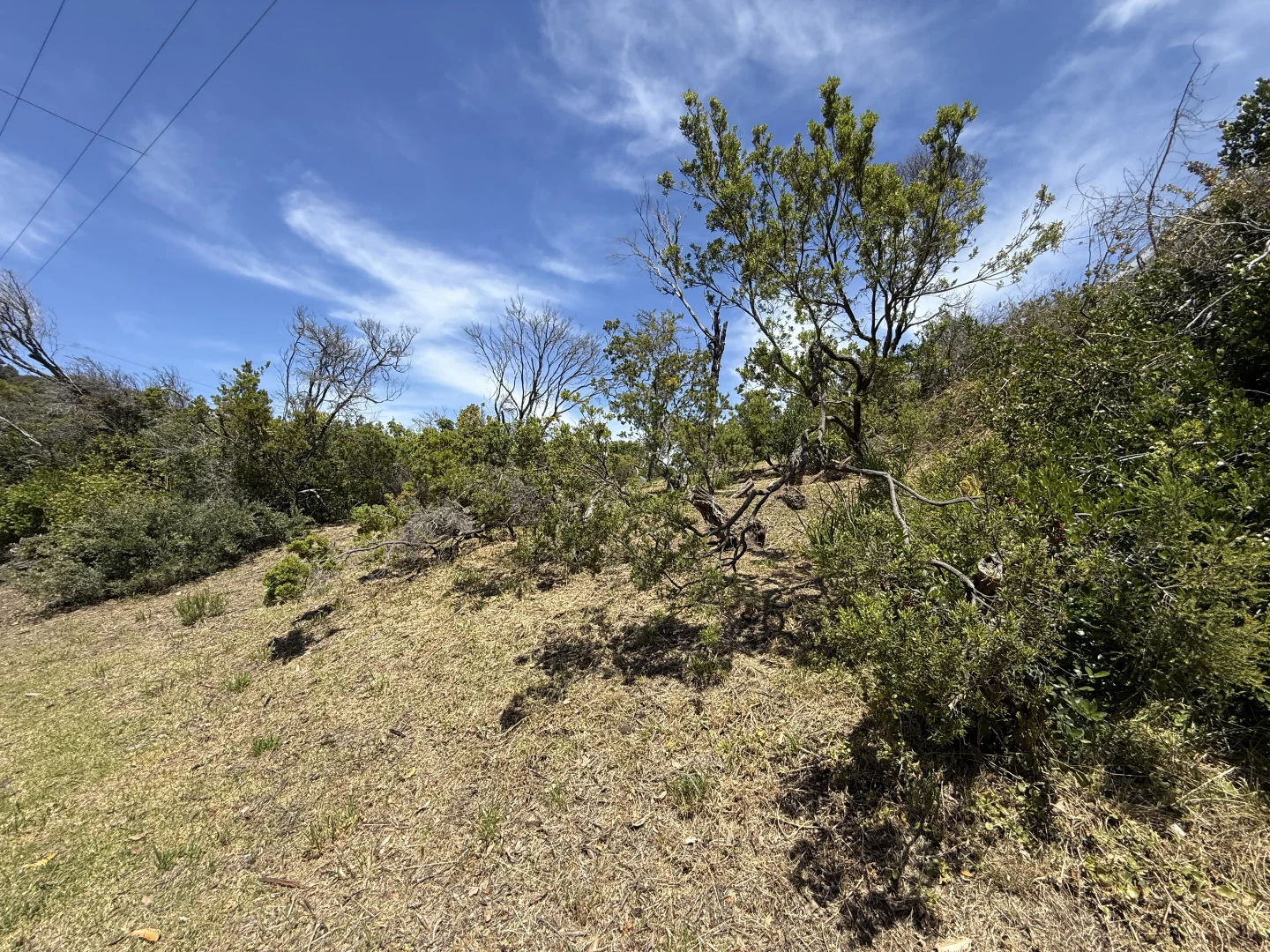 Additional image 5 of 20 Rodney Street, Rye VIC 3941