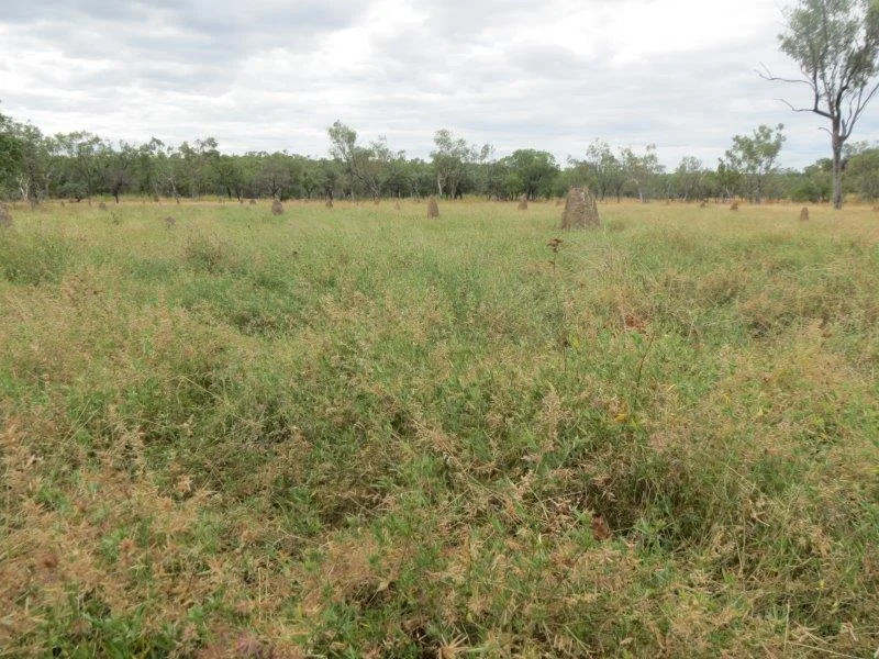 Additional image 42 of Van Lee Station, Mount Surprise QLD 4871