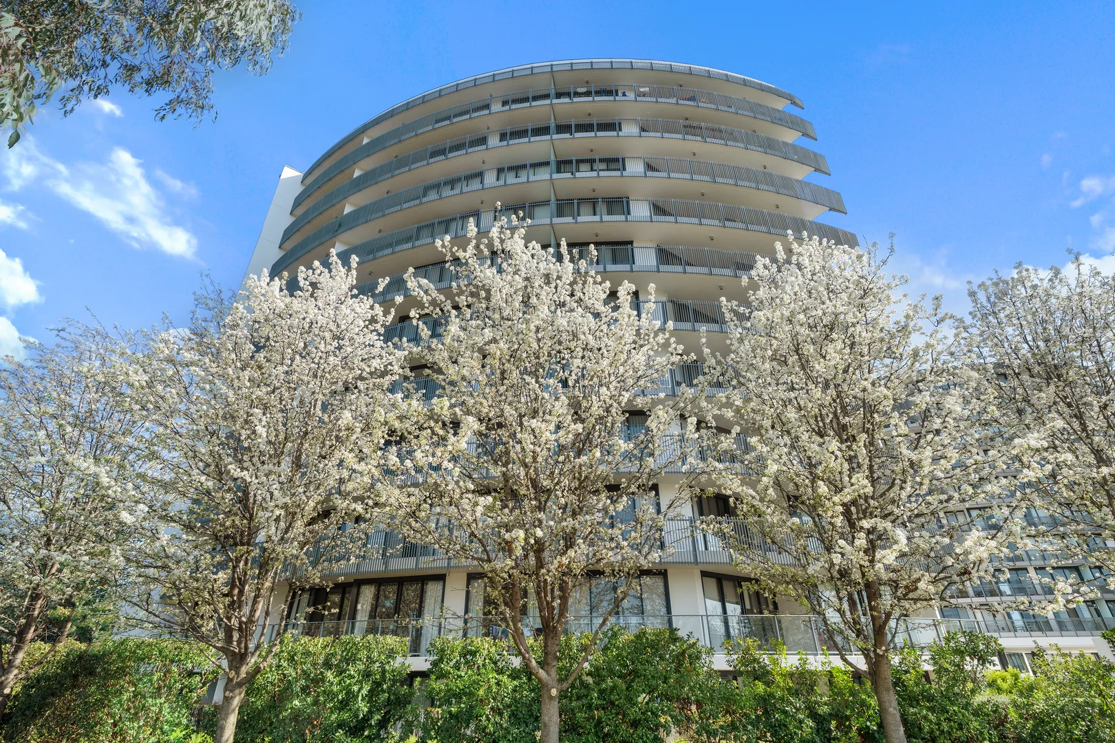 Additional image 11 of 262/1 Mouat Street, Lyneham ACT 2602