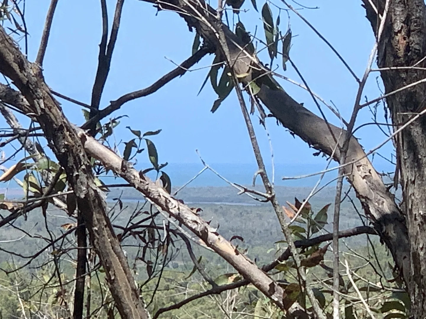 Additional image 2 of LOT 36 Whitsunday Dr, Bloomsbury QLD 4799