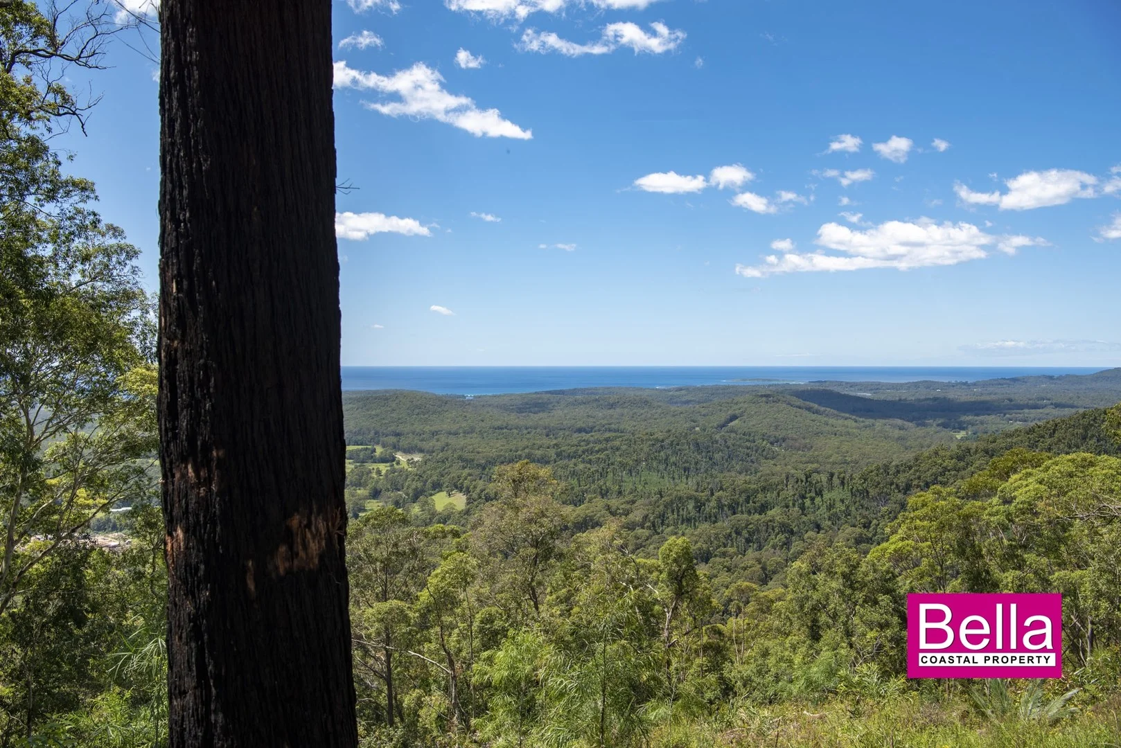 Additional image 4 of 41 Old Coach Road, Termeil NSW 2539
