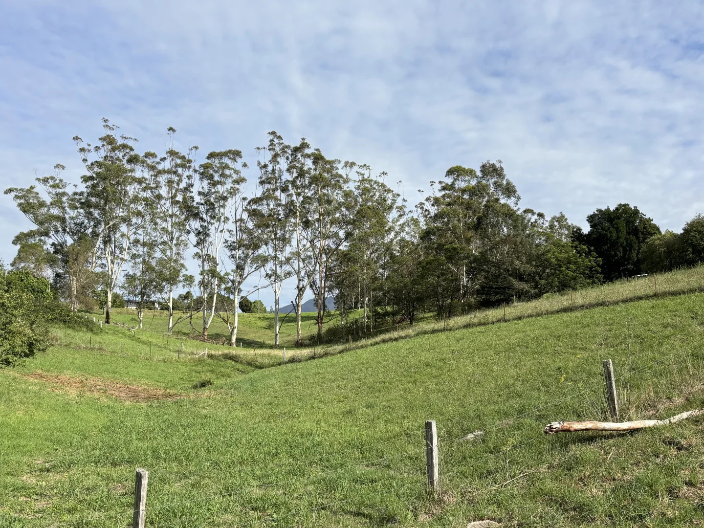 Additional image 6 of 2/6B Garvan Street, Bemboka NSW 2550