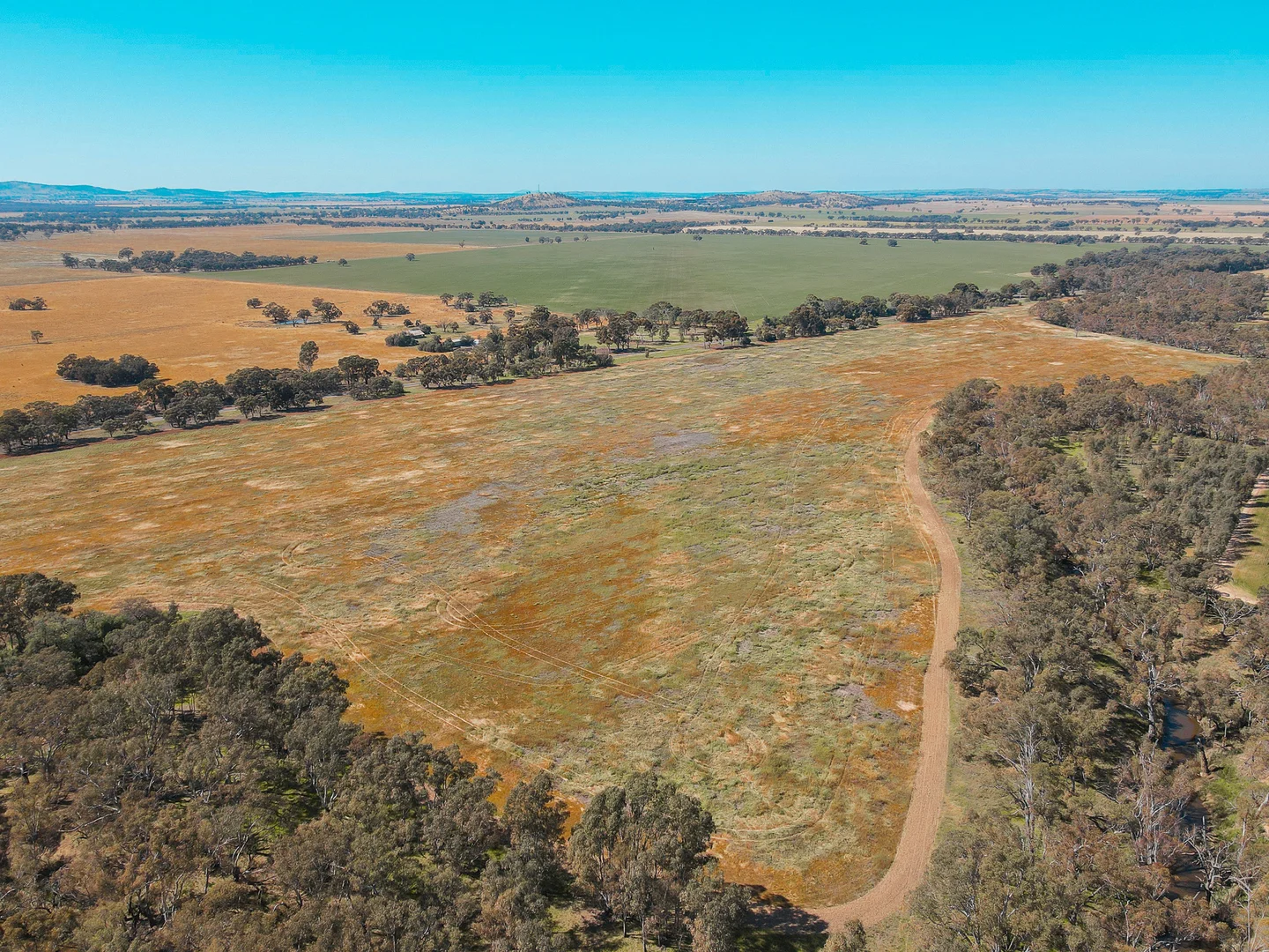 Additional image 8 of Teddywaddy VIC 3527