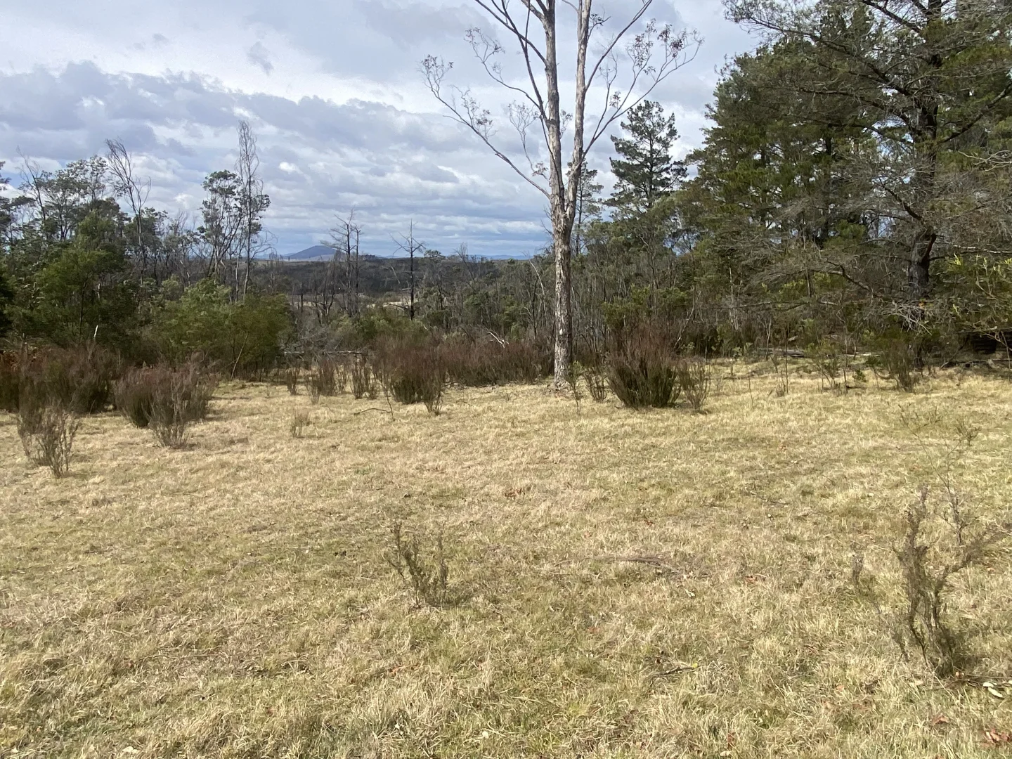 Additional image 18 of 464 Tally Ho, Braidwood NSW 2622