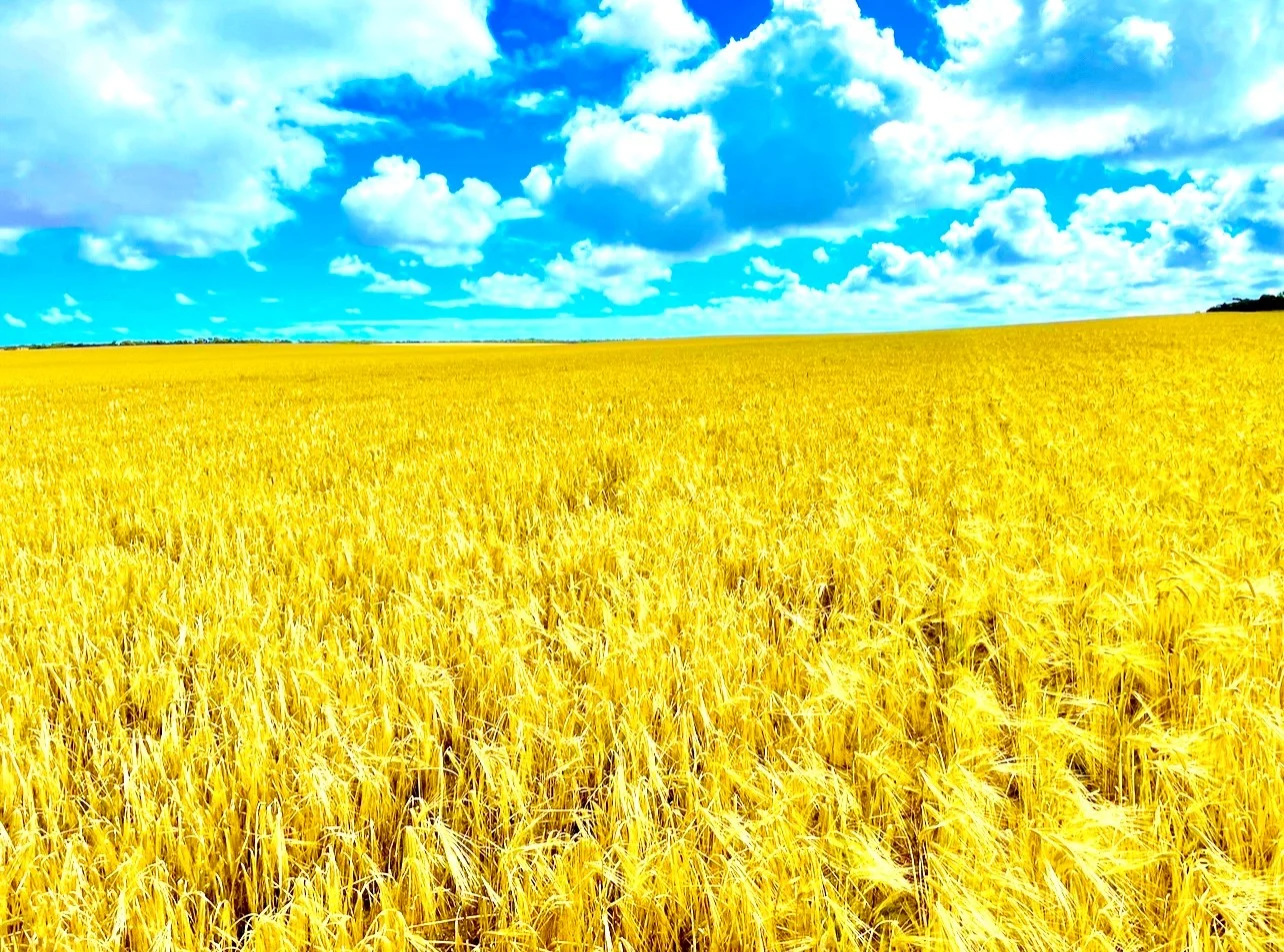 Additional image 13 of 1830 Finlayson Road, Petina SA 5680