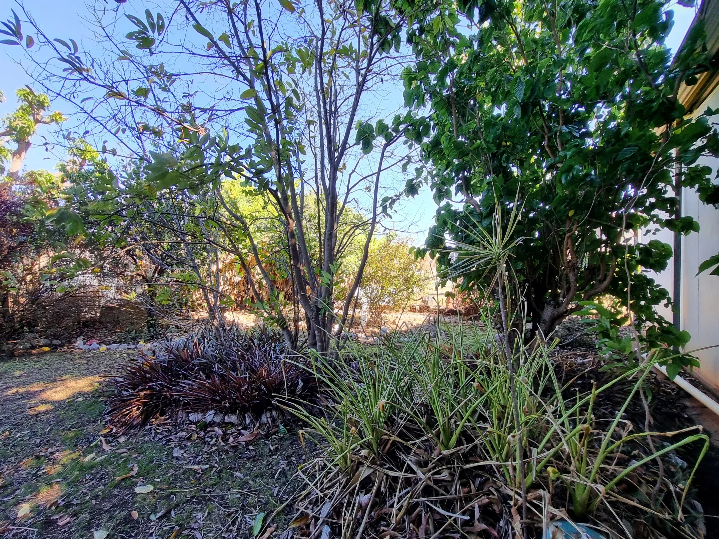 Additional image 26 of 1 Savannah Street, Mount Surprise QLD 4871