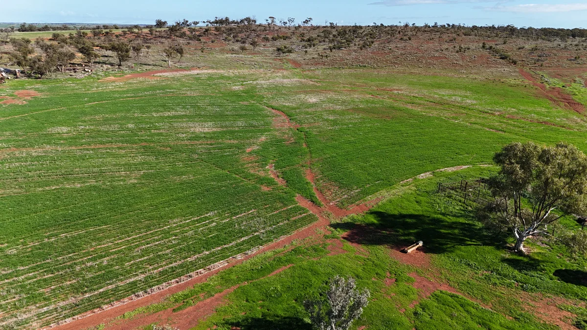 Additional image 7 of 697 Solomon Road, Perenjori WA 6620