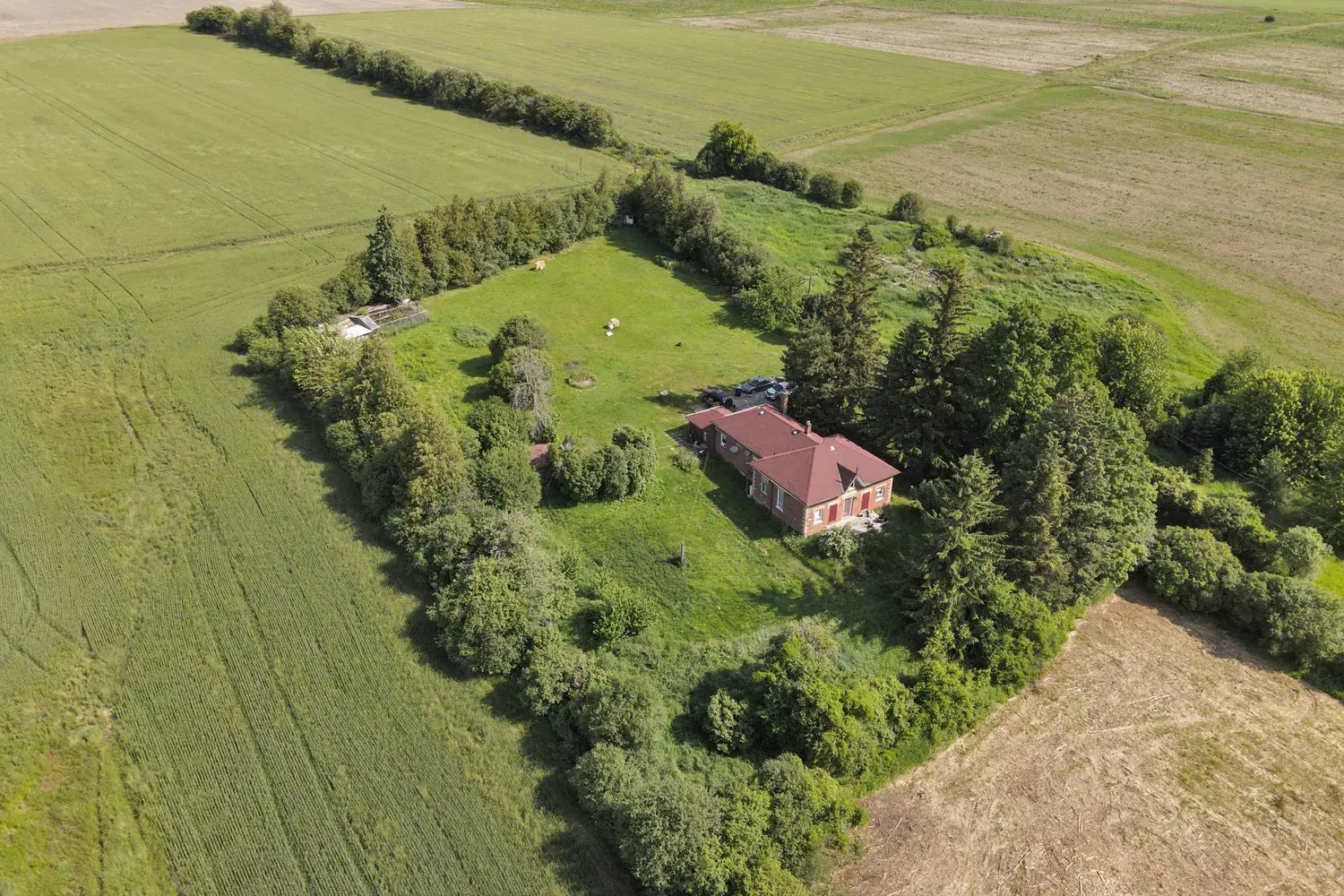 Additional image 5 of 7640 King Street