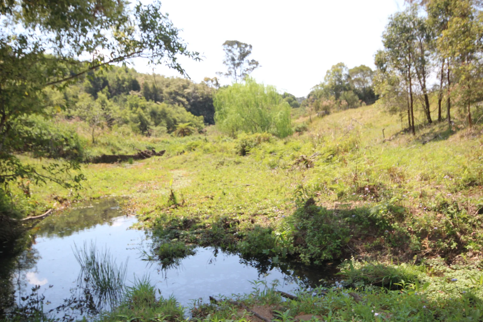 Additional image 26 of 1085 Pappinbarra Road, Lower Pappinbarra NSW 2446