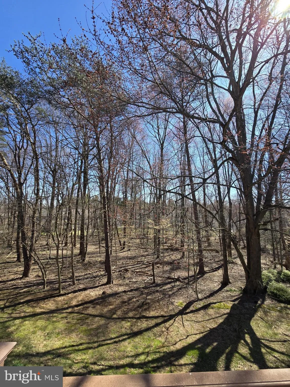 Additional image 37 of 715 Haddon Road, Wilmington, DE 19808