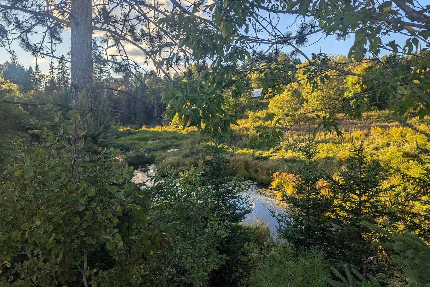 Additional image 4 of 00000 Opeongo Line