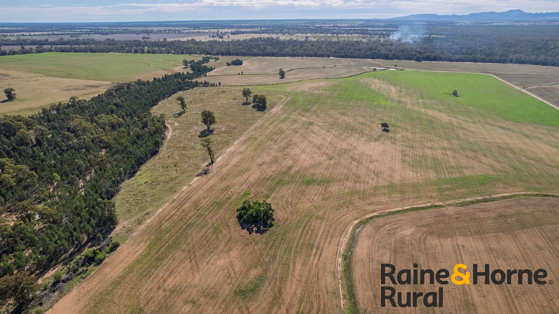 1186 Newell Highway, Gilgandra NSW 2827