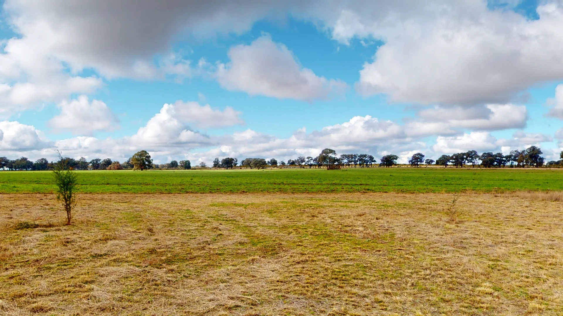 Additional image 3 of 'Belmont' 71R Maiala Road, Eumungerie NSW 2822