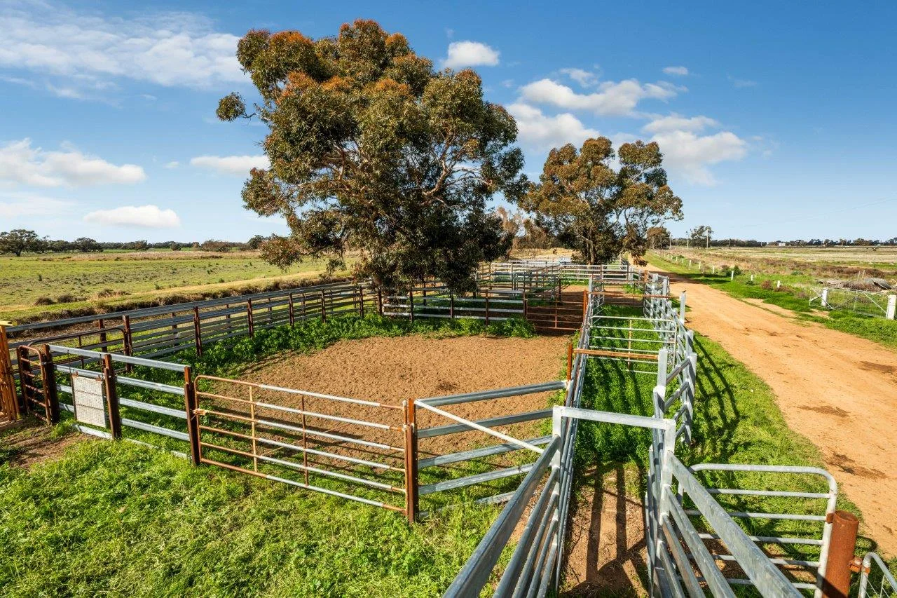 Additional image 11 of 495 Burraboi Road, Barham NSW 2732