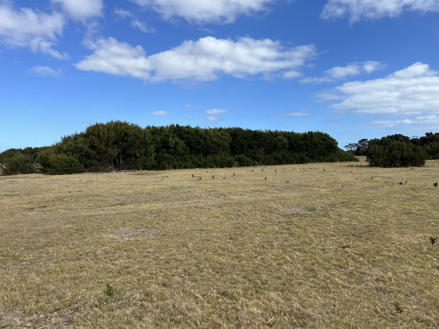 Additional image 4 of Lot 1 Palana Road, Whitemark TAS 7255