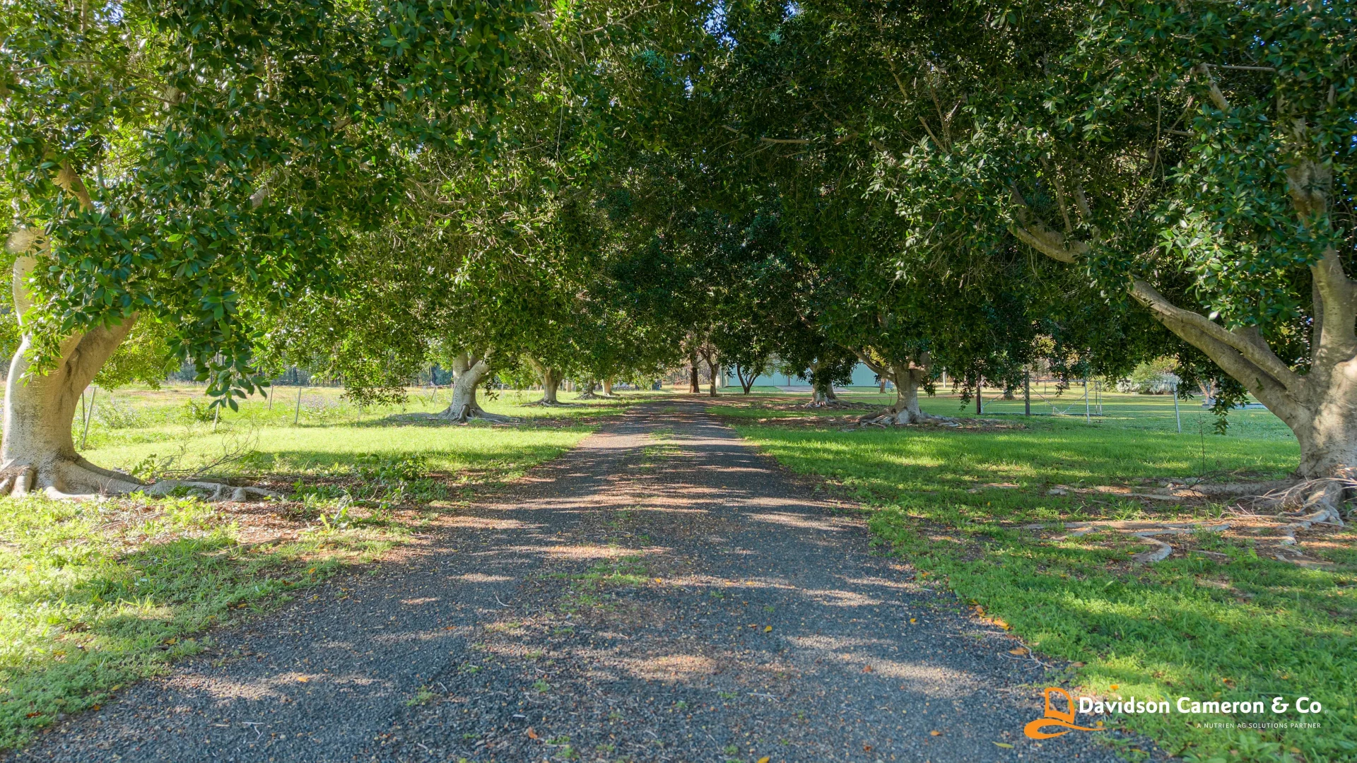 Additional image 3 of 559 Kaputar Road, Narrabri NSW 2390