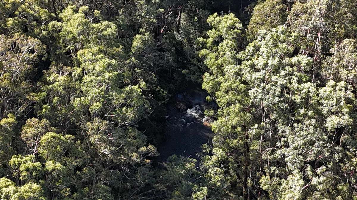 Additional image 9 of 318 Old Ocean Road, Glenaire VIC 3238