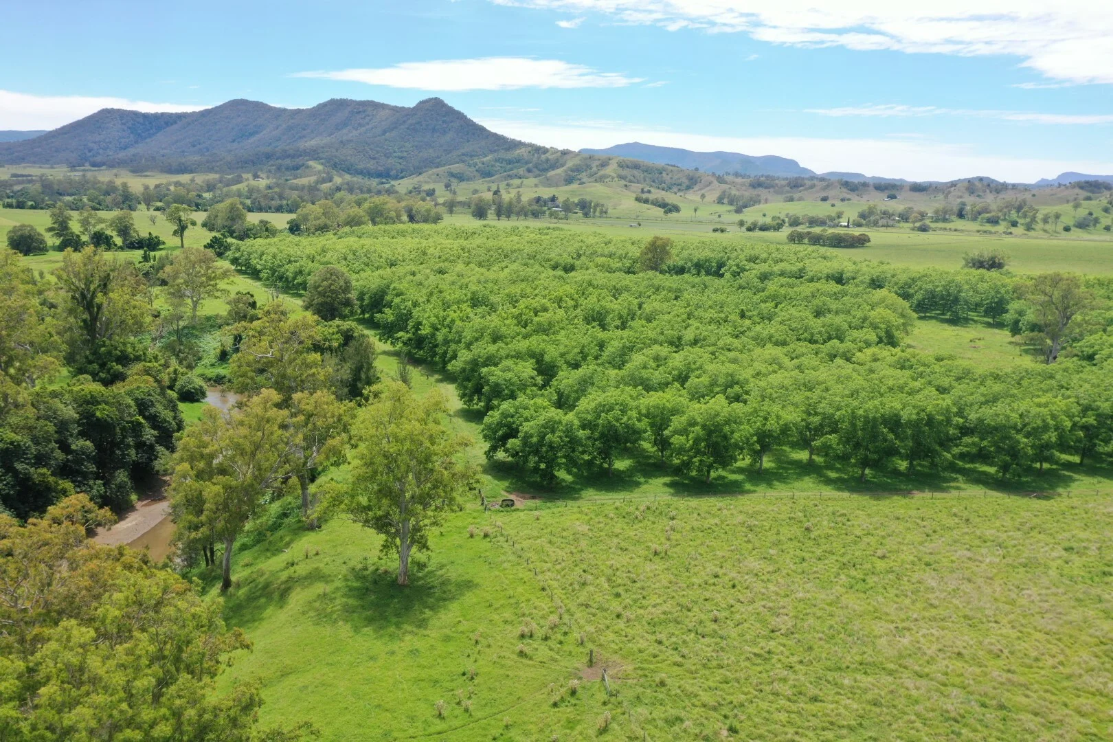Additional image 28 of 139 Homestead Road, Kyogle NSW 2474
