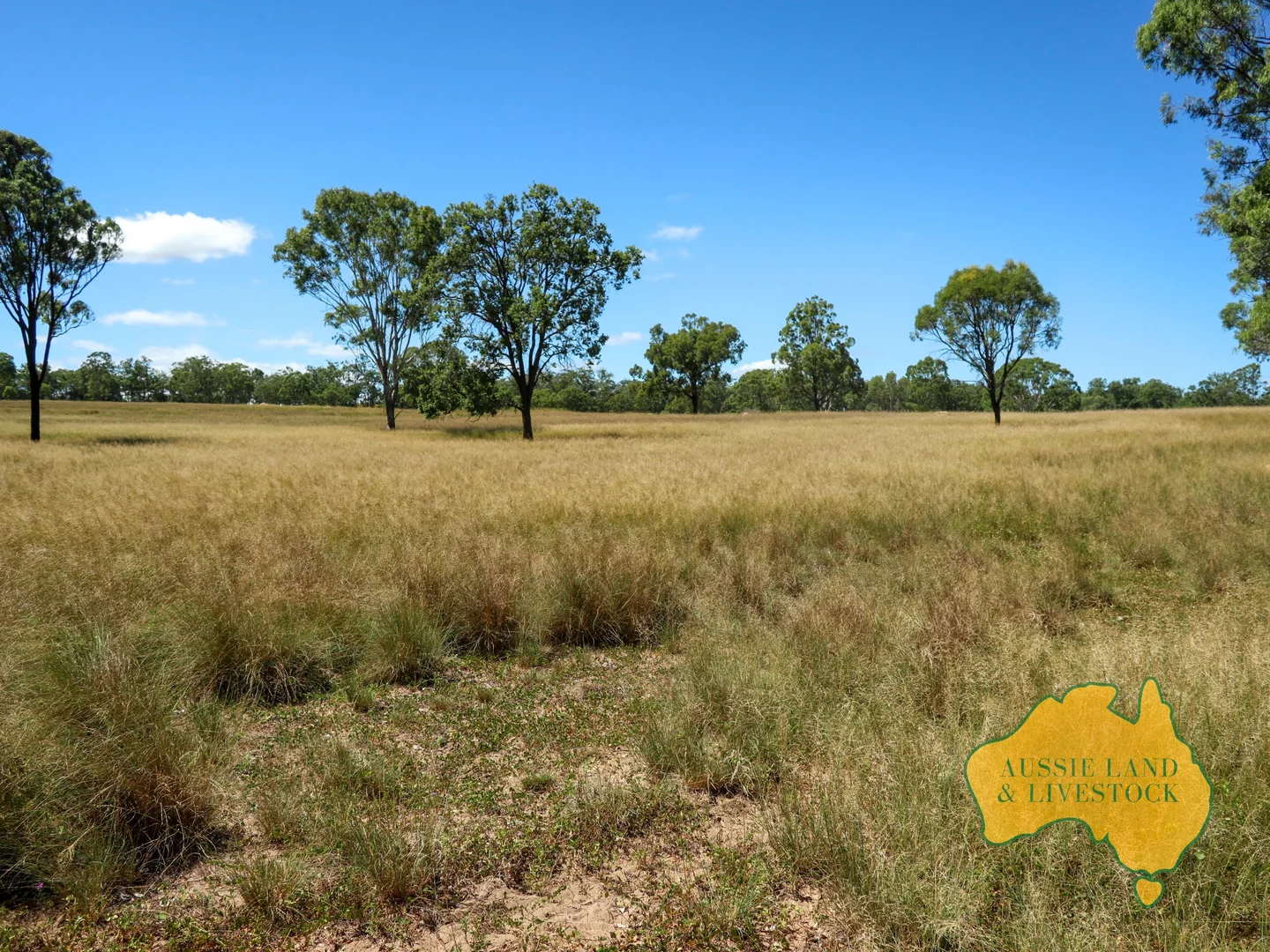 Additional image 28 of 629 Stuart Valley Drive, Haly Creek QLD 4610