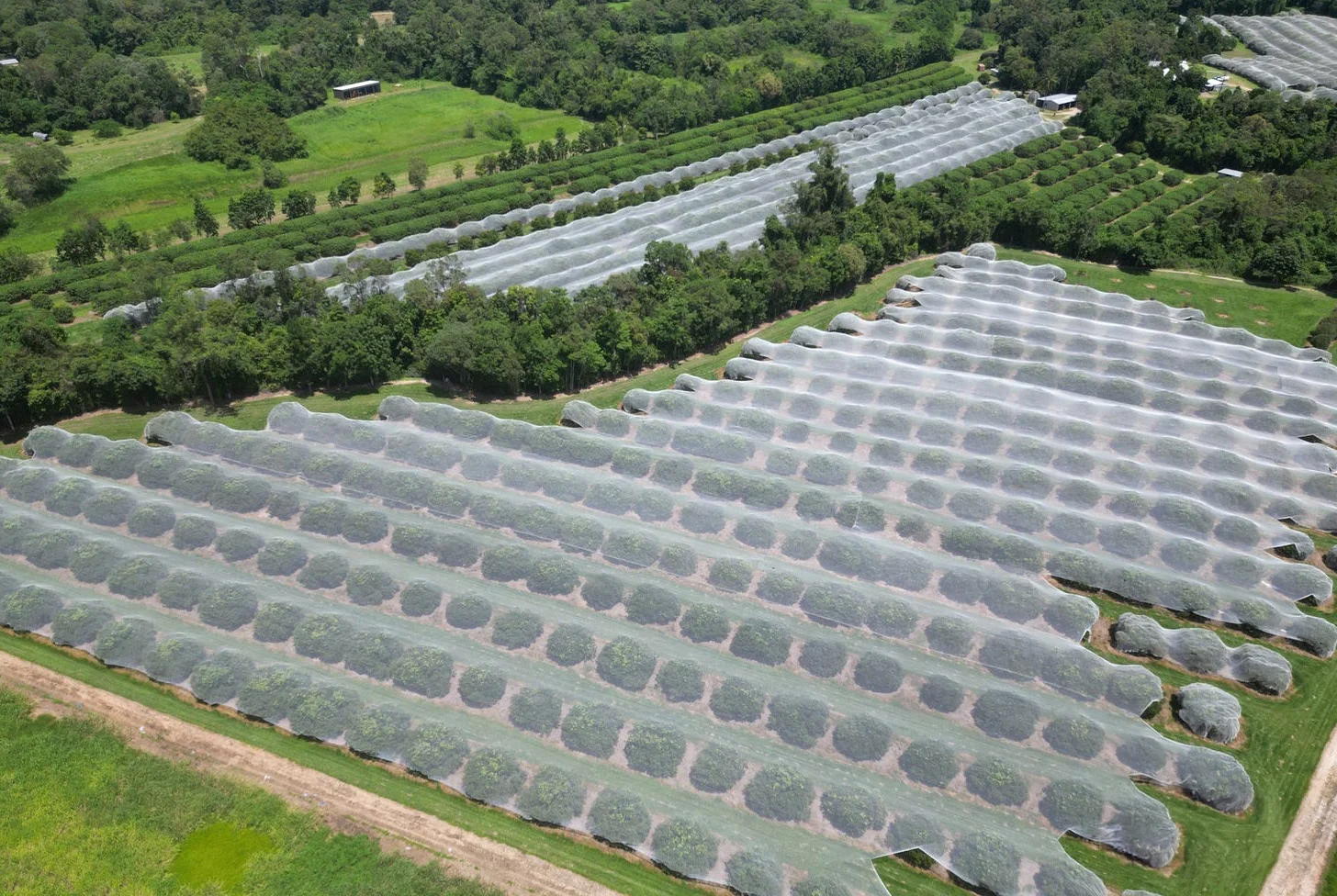 Additional image 29 of 281 Dingo Pocket Rd, Dingo Pocket QLD 4854