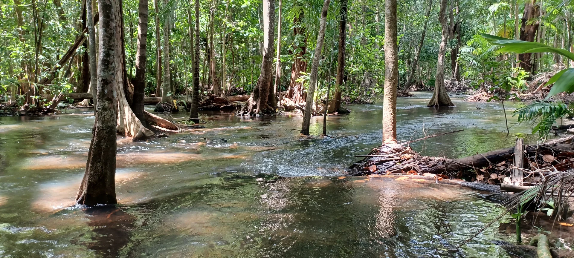 Additional image 11 of 685 Miles Road, Eva Valley NT 0822