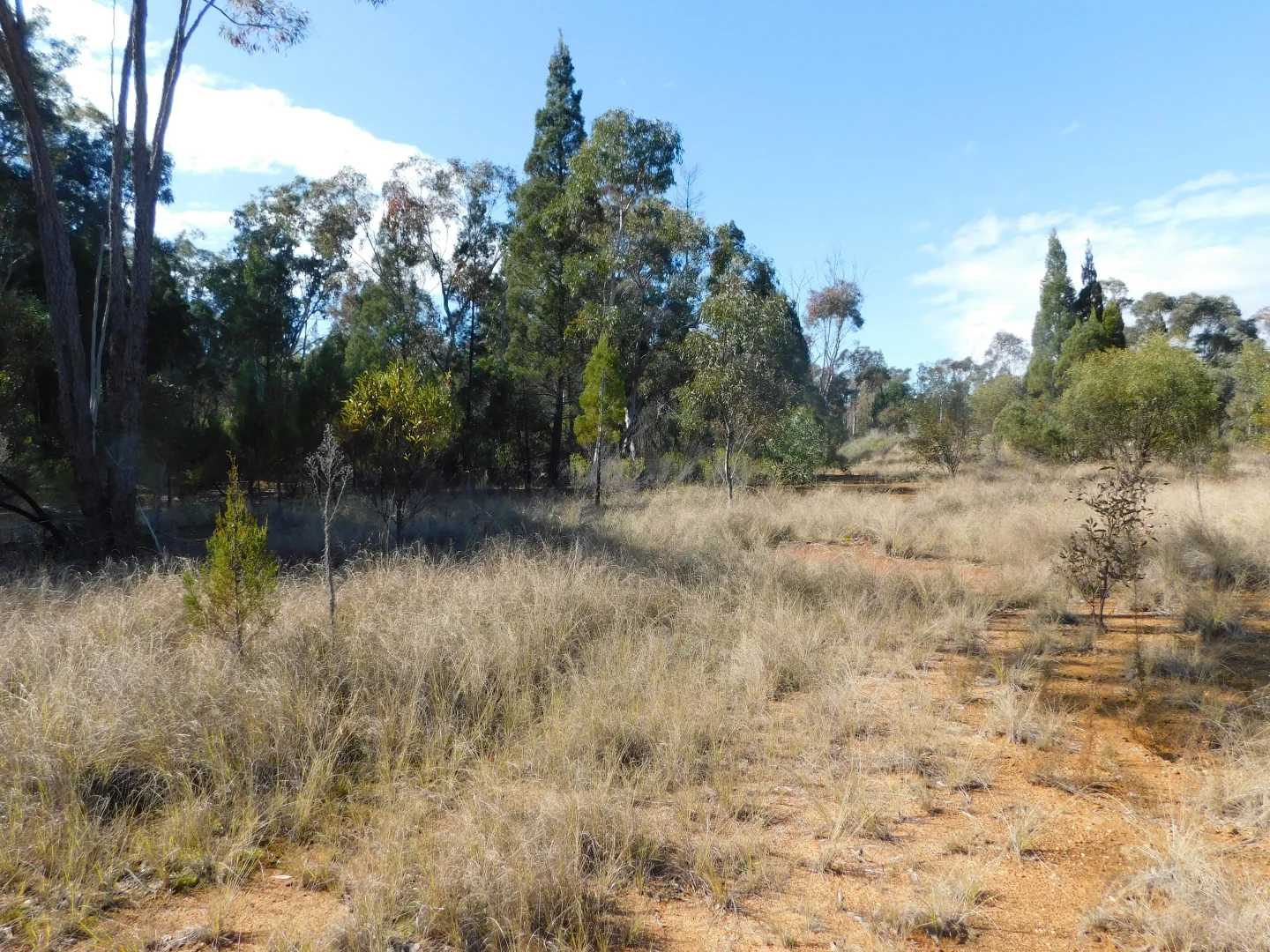 Additional image 11 of The Rock  212 Purlewaugh Road, Coonabarabran NSW 2357