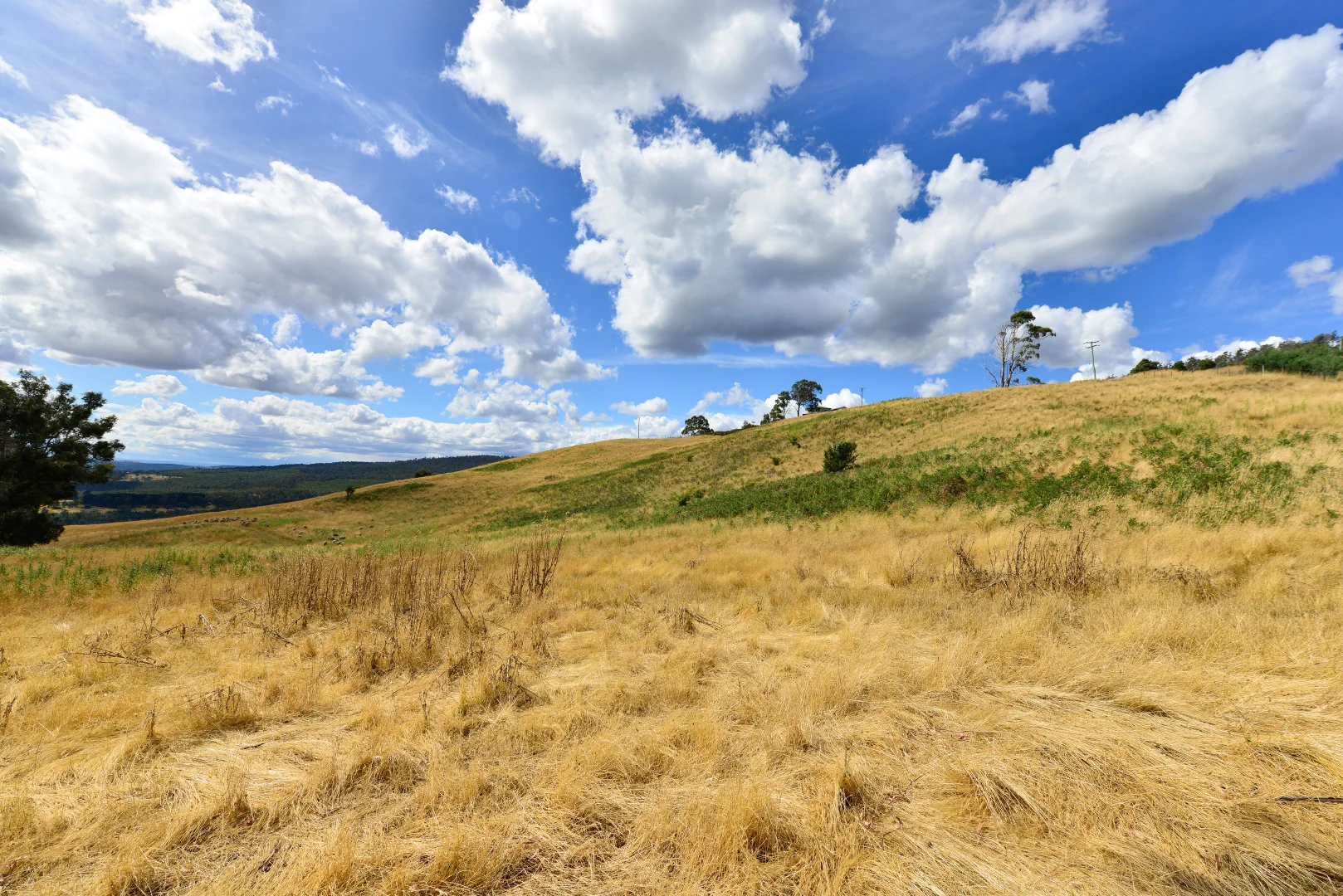 Additional image 7 of 17 Garth Lane, Black Hills TAS 7140