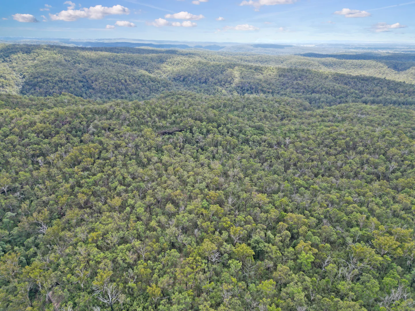 Additional image 6 of Lot 12 Busbys Flat Road, Busbys Flat NSW 2469