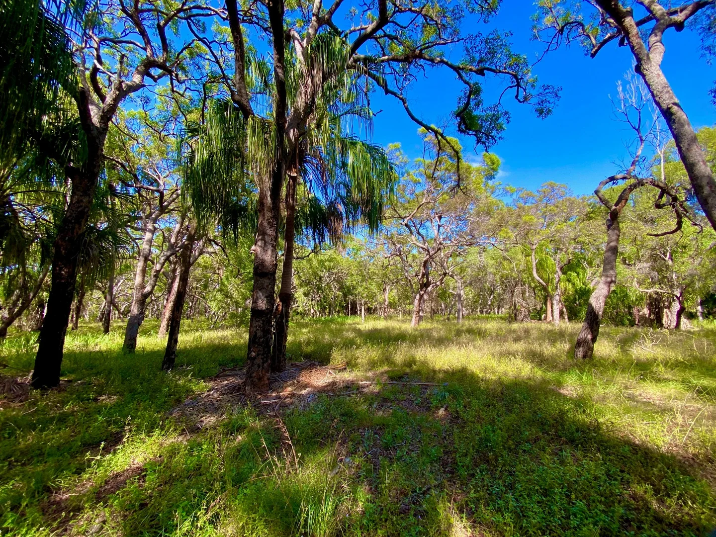 Additional image 4 of L 39 Bloodwood Ave, Agnes Water QLD 4677