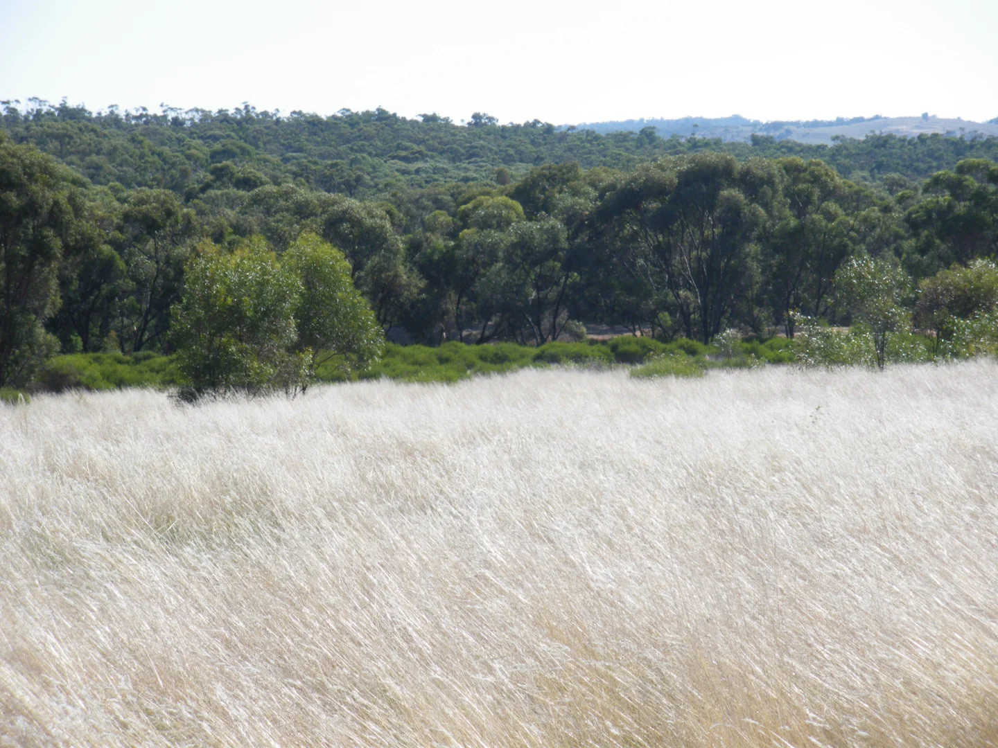 Additional image 20 of 6803 Calder Highway, Wedderburn VIC 3518