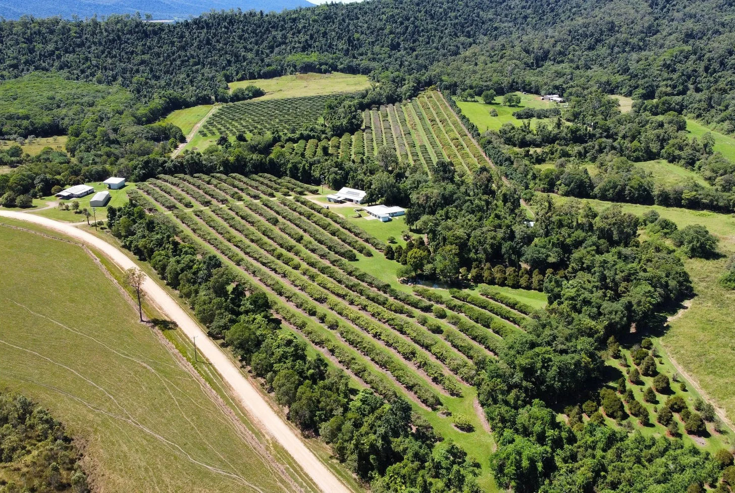 Additional image 35 of 281 Dingo Pocket Rd, Dingo Pocket QLD 4854