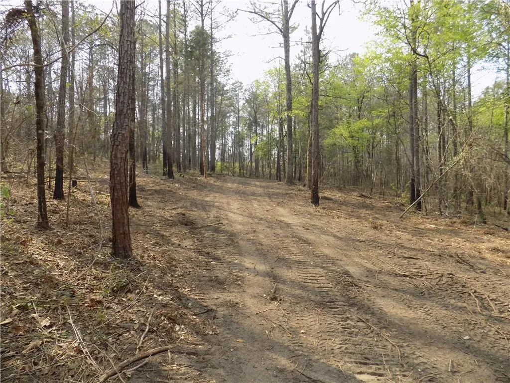 Additional image 13 of Lot 2 Macon County Road 24, Auburn, AL 36830