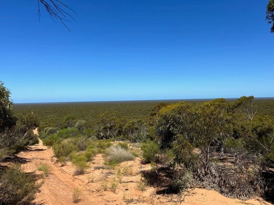 Additional image 9 of Section 6 Old Telegraph Road, Midgee SA 5602