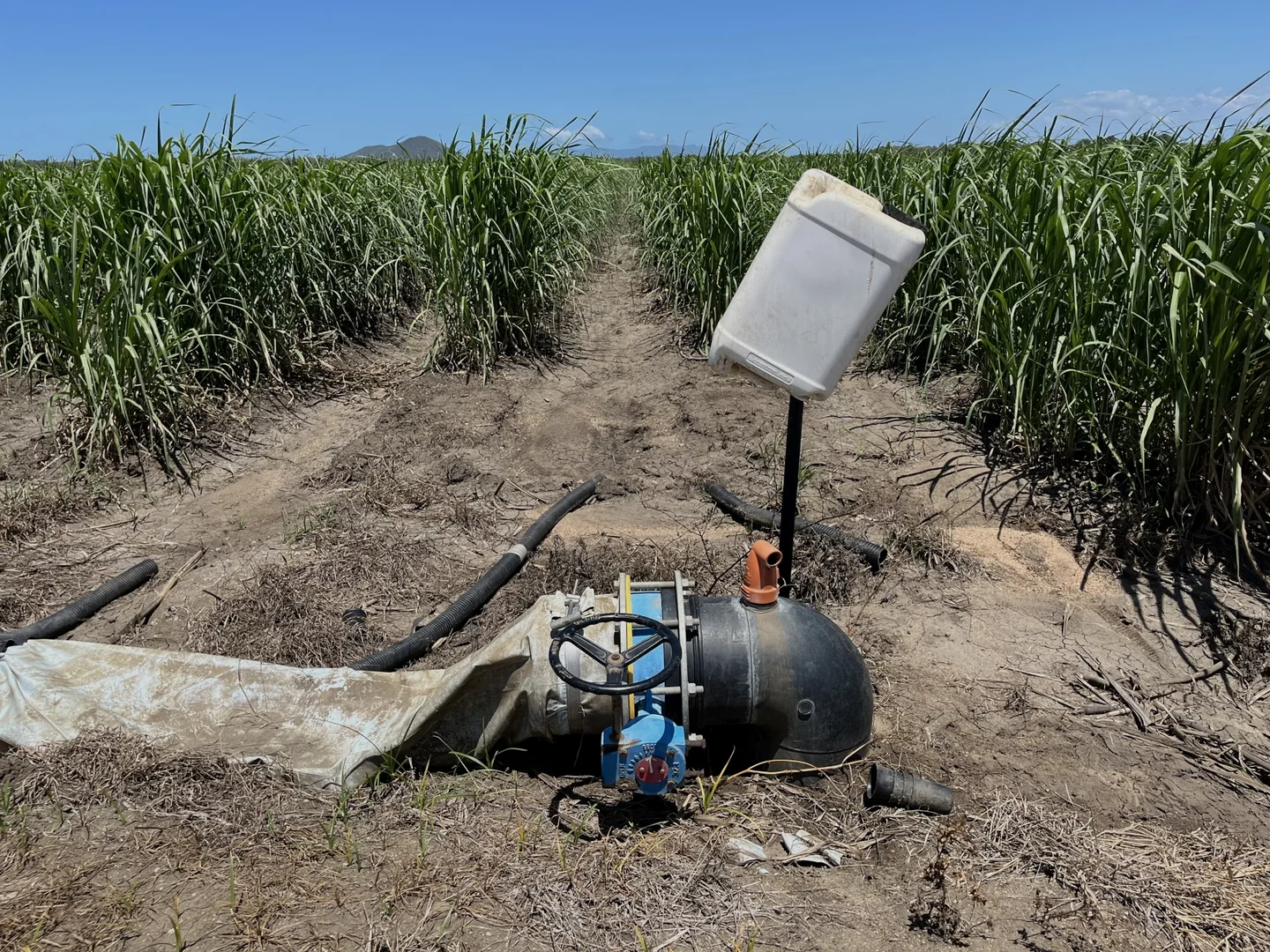 Additional image 14 of 218 Oats Road, Fredericksfield QLD 4806