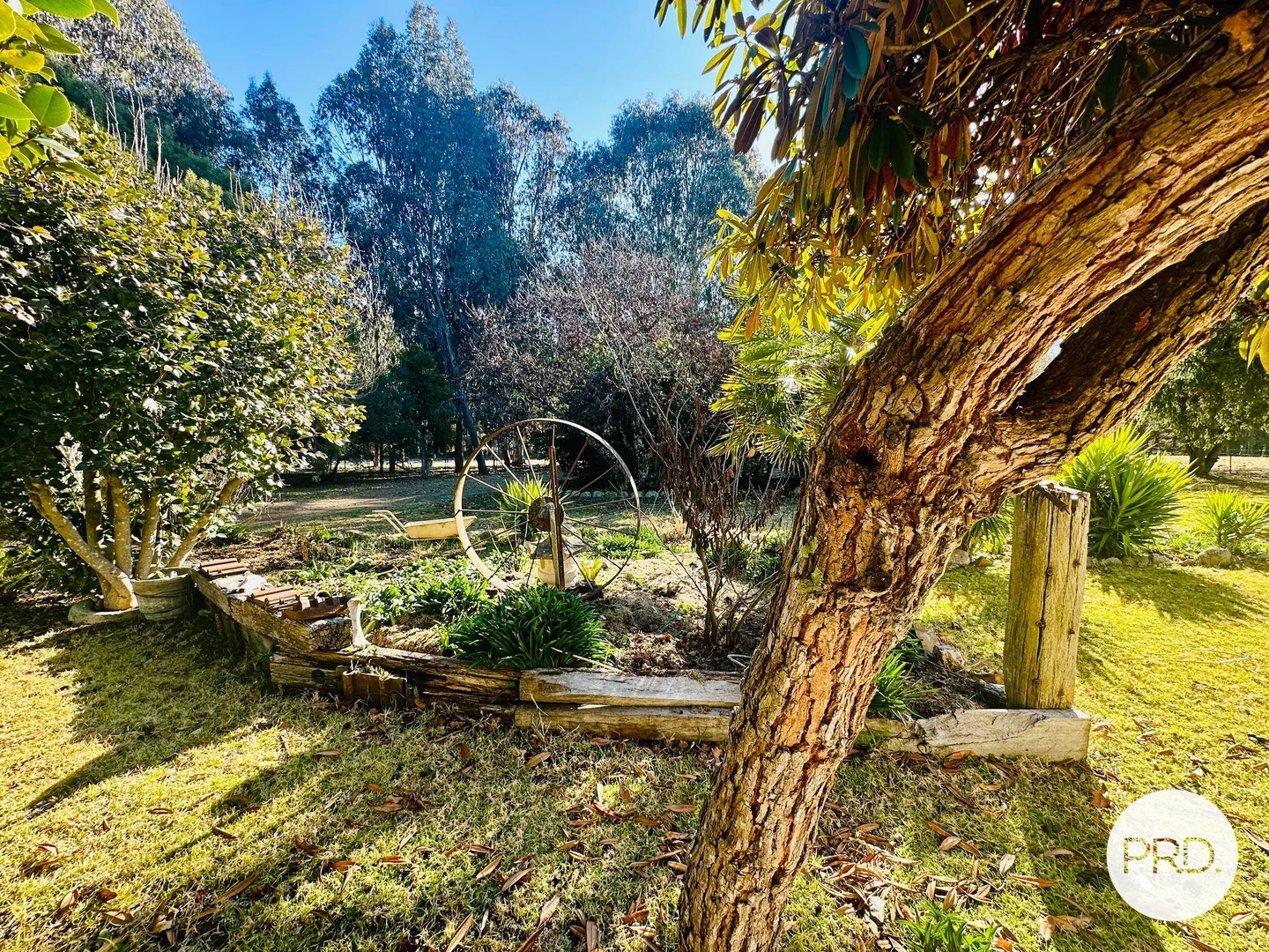 Additional image 40 of 233 Logans Road, Tumbarumba NSW 2653