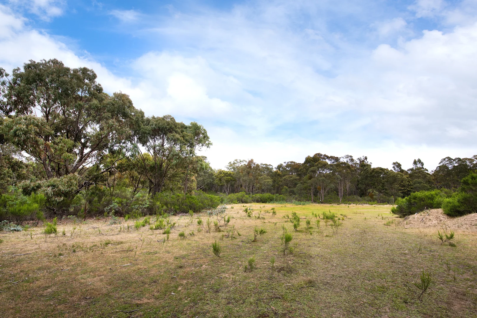 Additional image 6 of 423 White Gum Track, Fryerstown VIC 3451