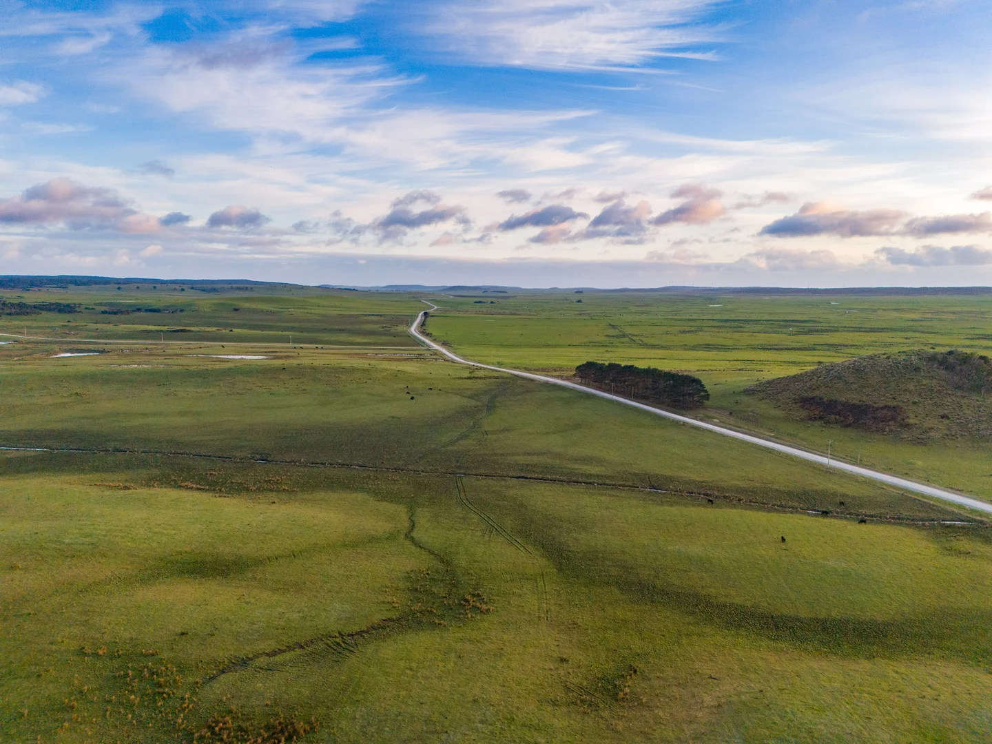 Additional image 10 of Rushy Lagoon TAS 7264