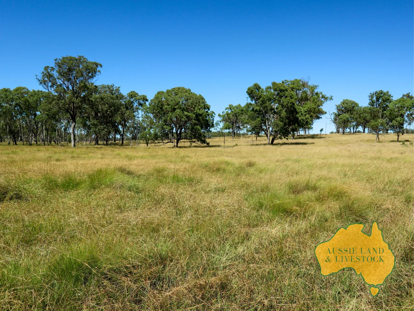 Additional image 9 of 629 Stuart Valley Drive, Haly Creek QLD 4610