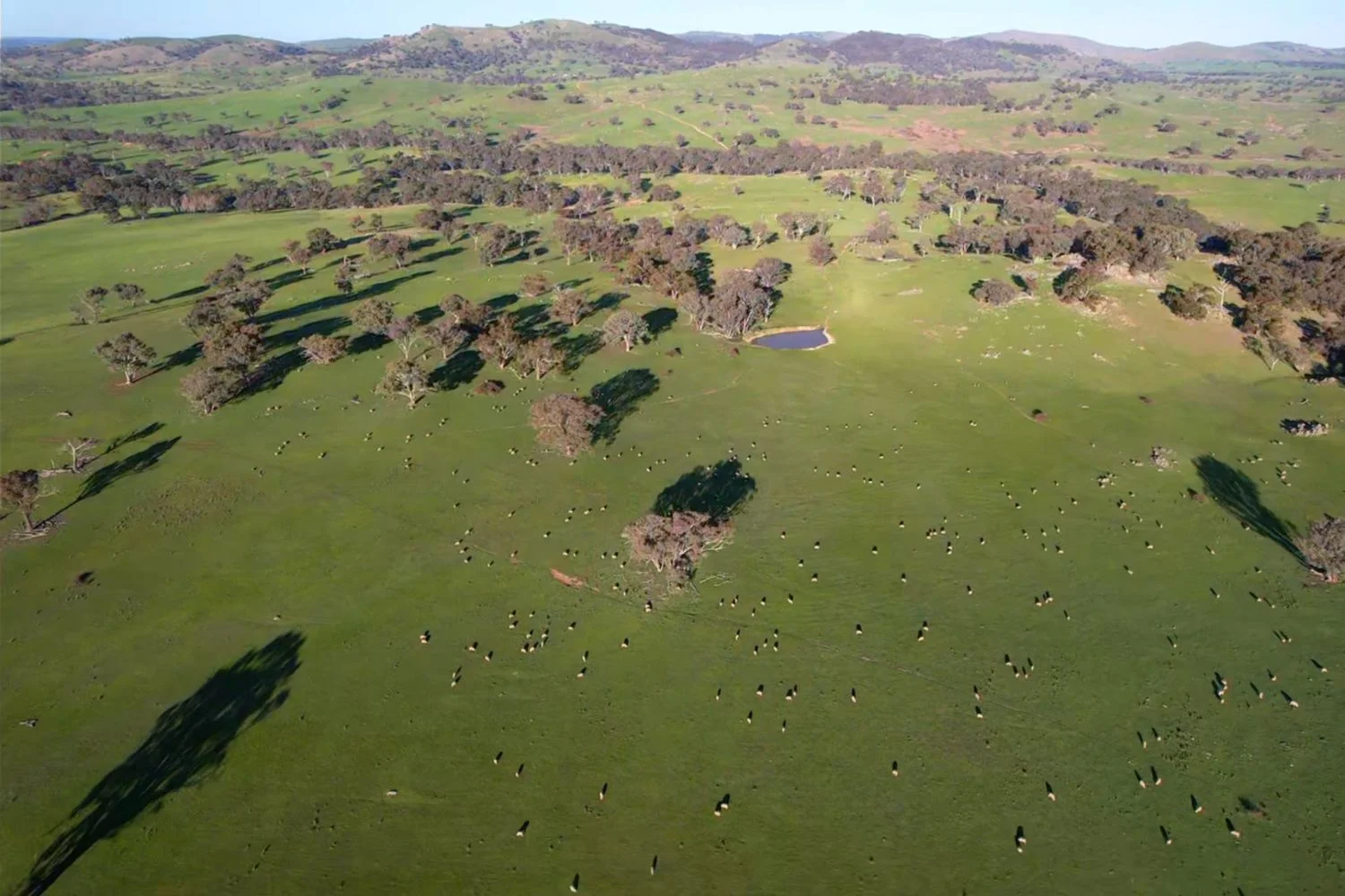 Additional image 5 of 0 Illalong Road, Bookham NSW 2582