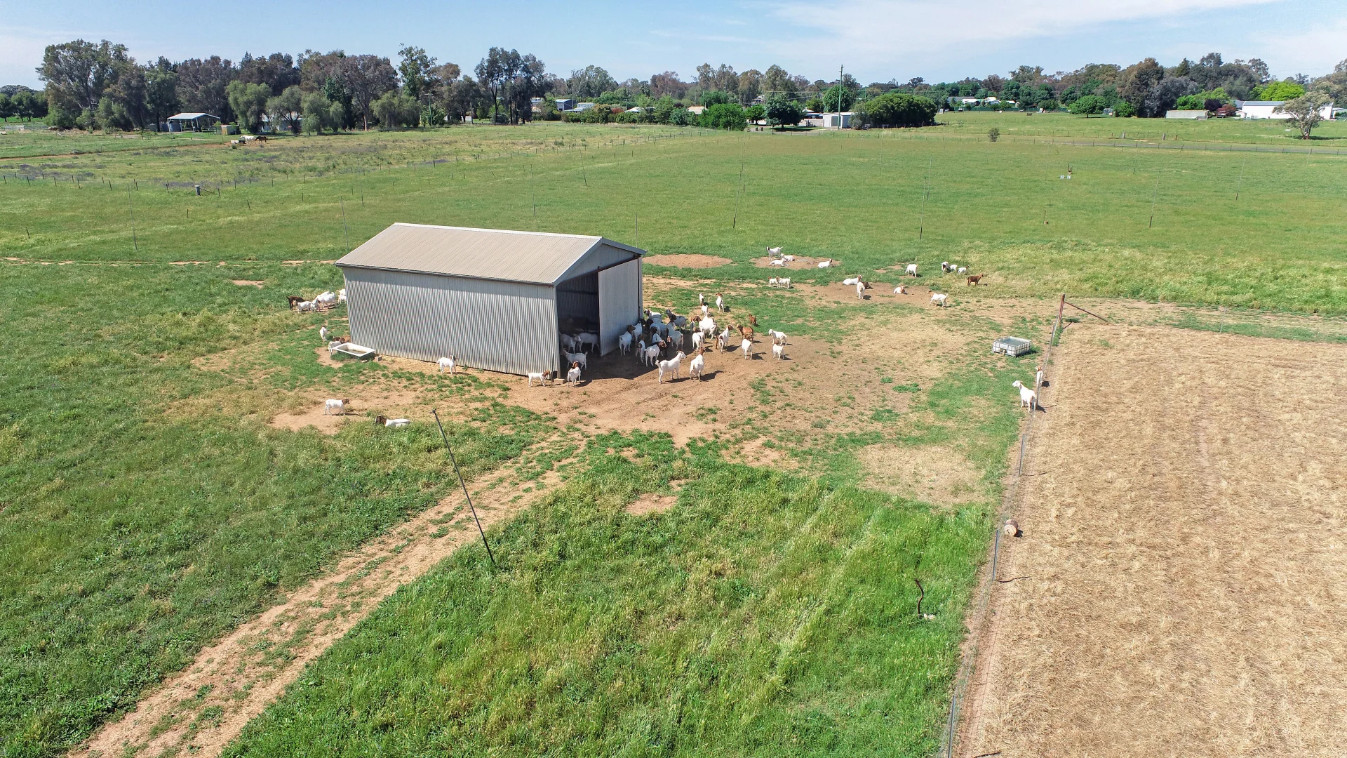 Additional image 4 of Licence 617789 Wandary Lane, Forbes NSW 2871