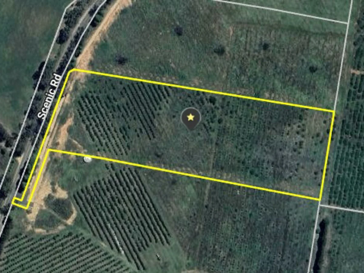 Additional image 2 of 264 Scenic Road, Young NSW 2594