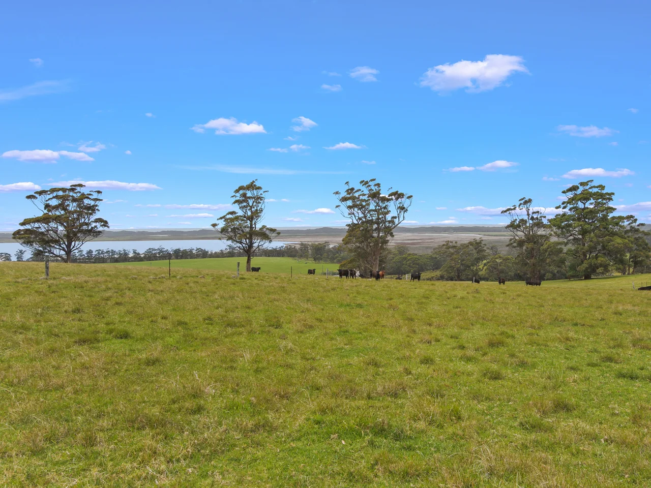 Additional image 21 of 262 Lake Road, Newmerella VIC 3886