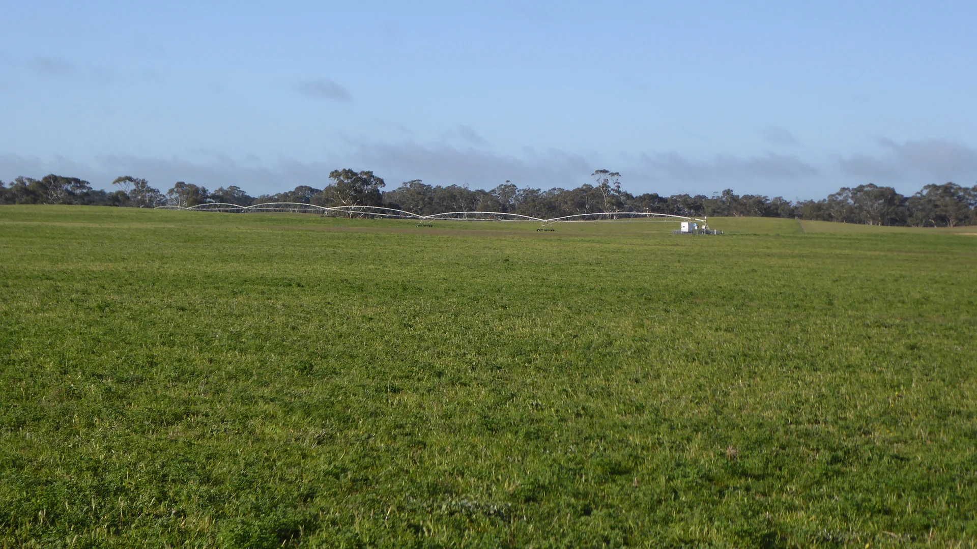 Additional image 15 of "Wyruna" 2989 Naracoorte Road, Western Flat SA 5268