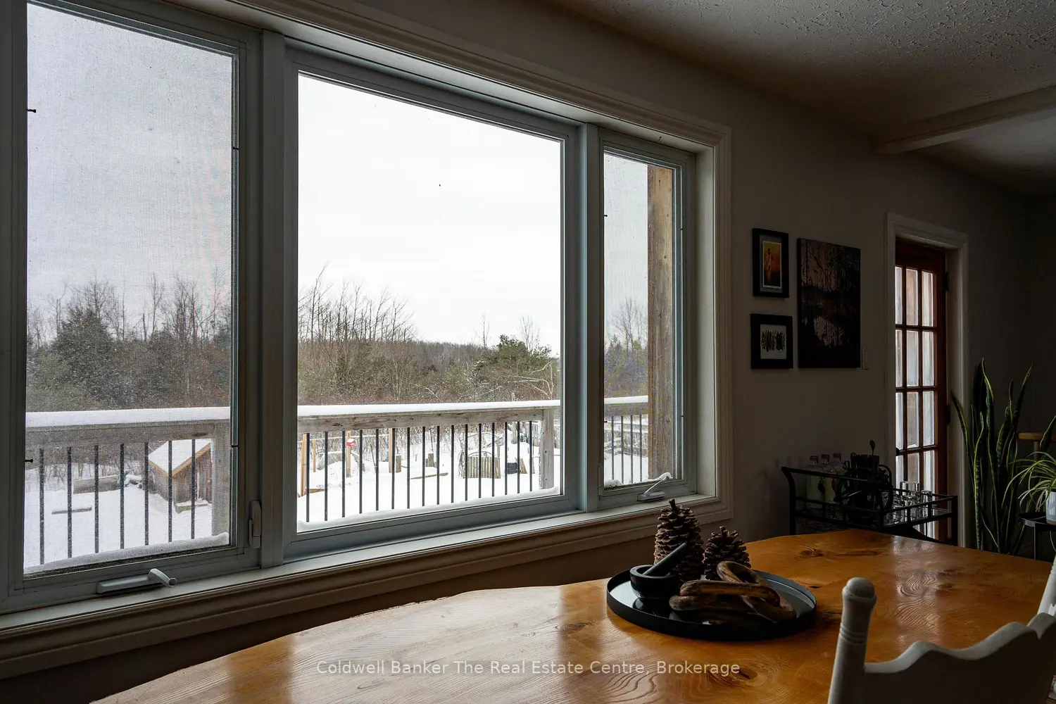 1229 County Road 124