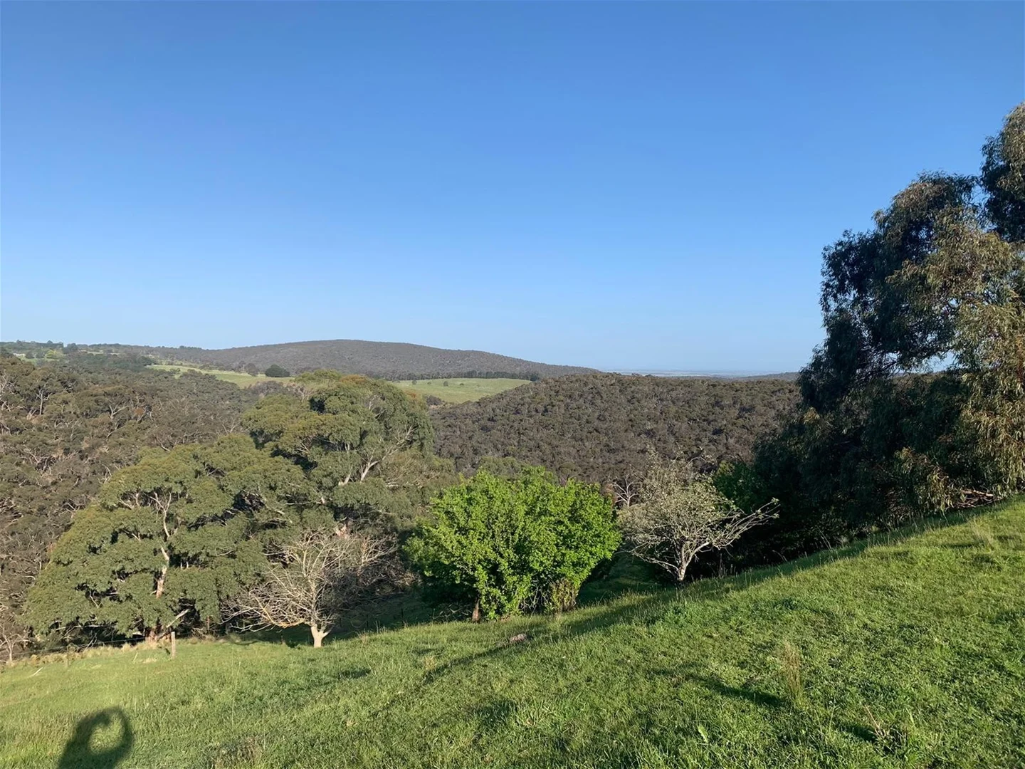 Additional image 4 of 231 Gisborne-Melton Road, Toolern Vale VIC 3337