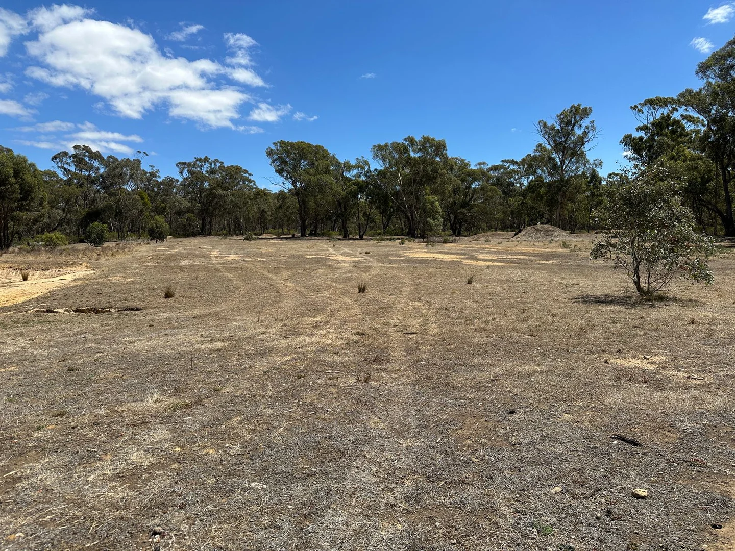 Additional image 6 of 206 Williams Road, Carisbrook VIC 3464